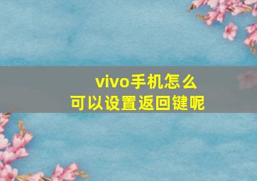 vivo手机怎么可以设置返回键呢