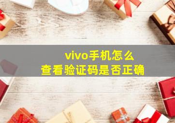 vivo手机怎么查看验证码是否正确