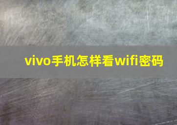 vivo手机怎样看wifi密码