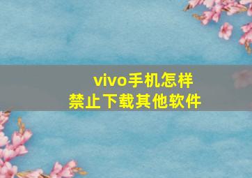 vivo手机怎样禁止下载其他软件