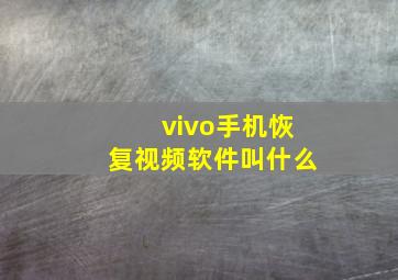 vivo手机恢复视频软件叫什么