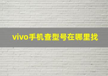 vivo手机查型号在哪里找