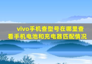 vivo手机查型号在哪里查看手机电池和充电器匹配情况