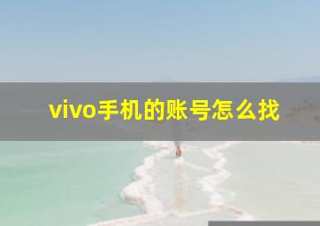 vivo手机的账号怎么找