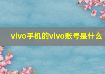 vivo手机的vivo账号是什么