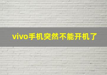 vivo手机突然不能开机了