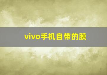 vivo手机自带的膜