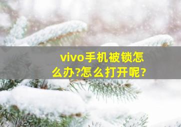 vivo手机被锁怎么办?怎么打开呢?