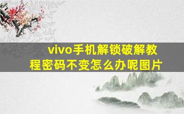 vivo手机解锁破解教程密码不变怎么办呢图片