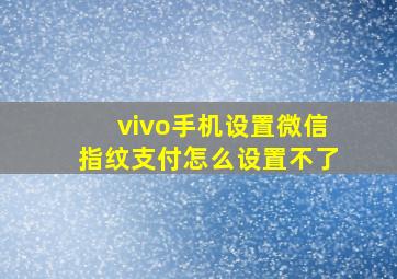 vivo手机设置微信指纹支付怎么设置不了