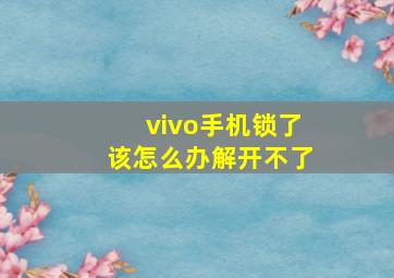 vivo手机锁了该怎么办解开不了