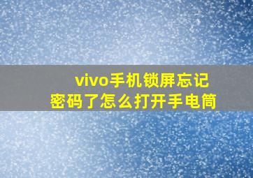 vivo手机锁屏忘记密码了怎么打开手电筒