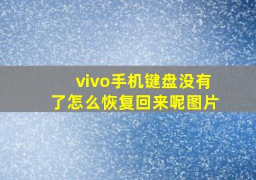 vivo手机键盘没有了怎么恢复回来呢图片