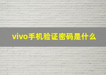 vivo手机验证密码是什么