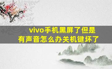 vivo手机黑屏了但是有声音怎么办关机键坏了