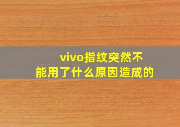 vivo指纹突然不能用了什么原因造成的