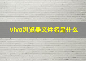 vivo浏览器文件名是什么