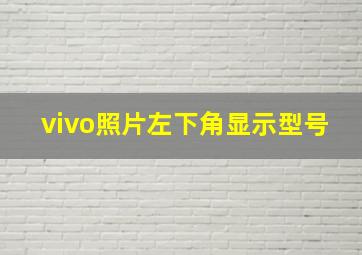 vivo照片左下角显示型号