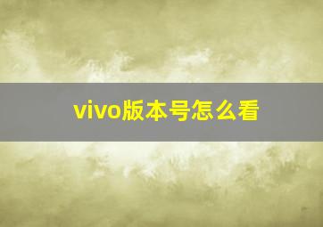 vivo版本号怎么看