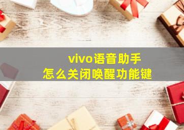 vivo语音助手怎么关闭唤醒功能键