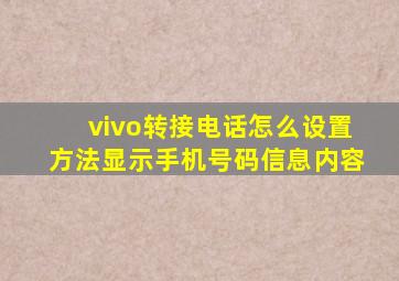 vivo转接电话怎么设置方法显示手机号码信息内容