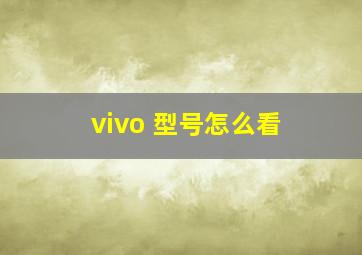 vivo 型号怎么看