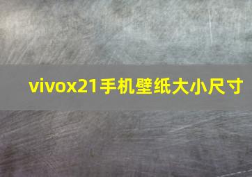 vivox21手机壁纸大小尺寸