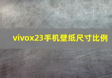 vivox23手机壁纸尺寸比例