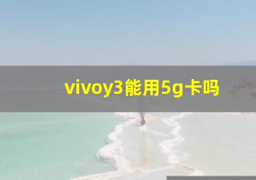 vivoy3能用5g卡吗