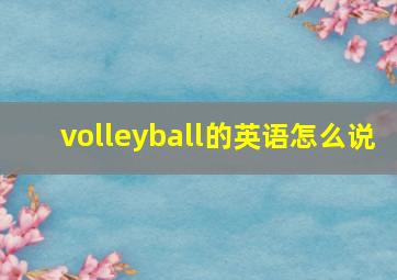 volleyball的英语怎么说