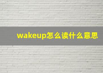 wakeup怎么读什么意思