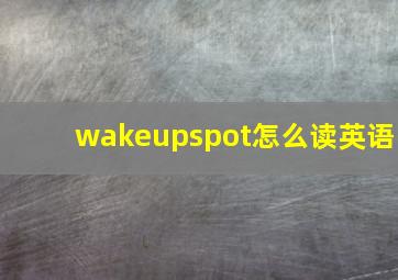 wakeupspot怎么读英语