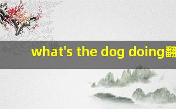 what's the dog doing翻译