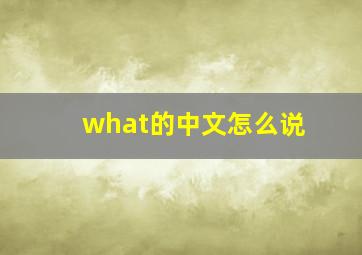 what的中文怎么说