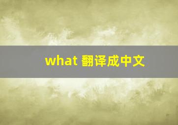 what 翻译成中文