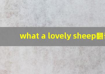 what a lovely sheep翻译