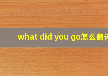 what did you go怎么翻译