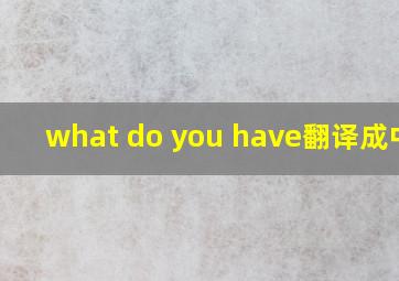 what do you have翻译成中文