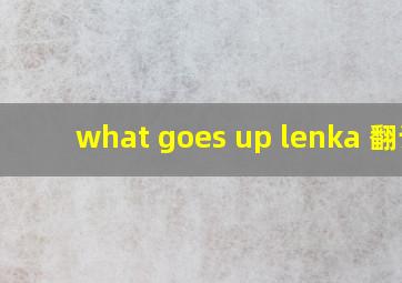 what goes up lenka 翻译