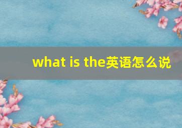 what is the英语怎么说