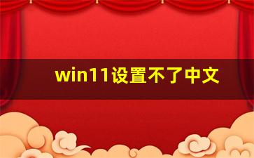 win11设置不了中文