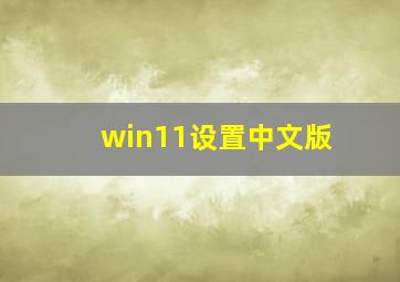 win11设置中文版