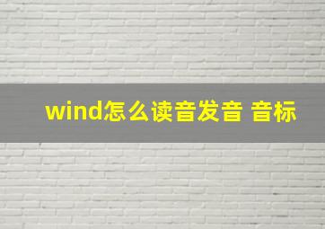 wind怎么读音发音 音标