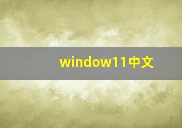 window11中文