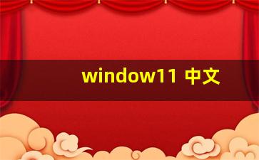 window11 中文