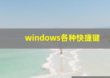 windows各种快捷键