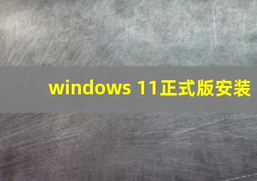 windows 11正式版安装