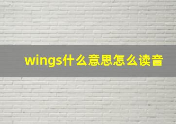 wings什么意思怎么读音