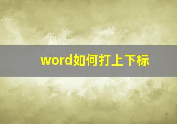 word如何打上下标