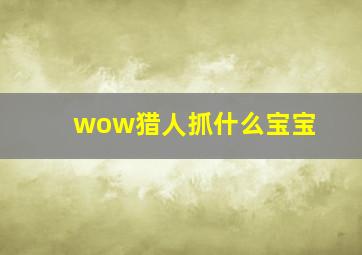 wow猎人抓什么宝宝